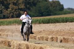 IMG 87753615a46ee06cdea96ad9b531880e V